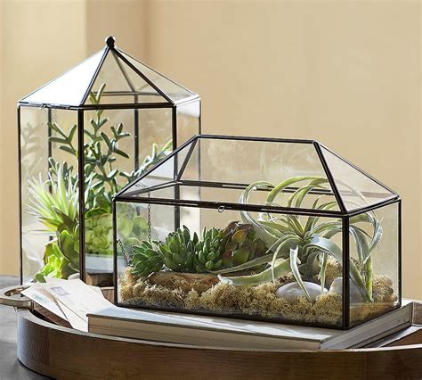 metal and glass house terrarium|empty glass terrarium.